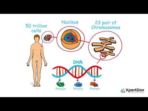 New advancements in treatment of cancer - Genomics and Proteomics