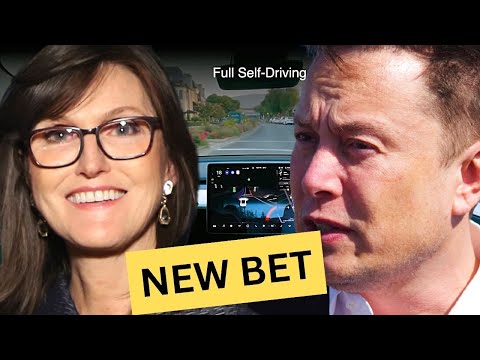 Cathie Wood&#039;s New Bold Bet: Tesla&#039;s Rise as an AI Leader, Revealed