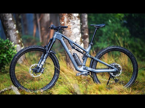 Top 10 Best Electric Mountain Bikes 2024