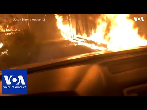 Father and son drive through flames to escape forest fire