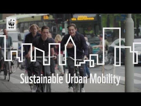 Cities Rise to the Challenge – Sustainable Mobility