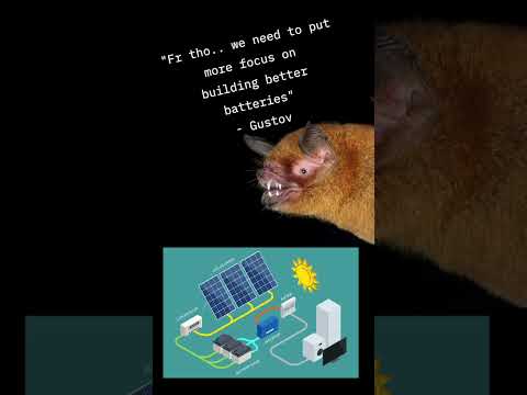 Magic Talking Bat Predicts Battery Powered Future &amp; Flies Away 🦇