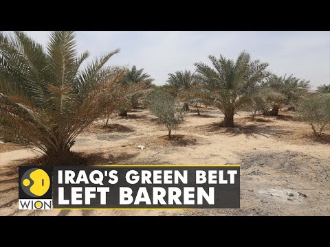 Climate crisis a big threat for Iraq, funding for green belt project is halted | World English News