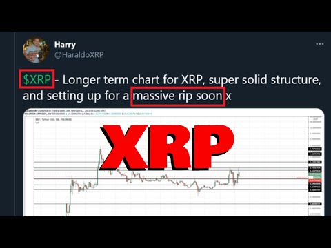 This Guy CALLED THE XRP 2017 RUN TO $3.92, Says XRP Sees A &quot;MASSIVE RIP SOON&quot;