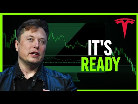 Elon JUST Leaked Something That Will Send Tesla Stock Soaring